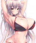  1girl armpits arms_behind_head bikini black_choker breasts choker cleavage commentary_request eyebrows_visible_through_hair fate/grand_order fate_(series) highres jeanne_d&#039;arc_(alter_swimsuit_berserker) jeanne_d&#039;arc_(fate)_(all) large_breasts navel o-ring o-ring_bikini o-ring_bottom o-ring_top shrug_(clothing) smile swimsuit white_background yellow_eyes yu-kinouhasu 