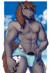  abs anthro beach bulge clothing equid equine hi_res horse licking licking_lips looking_at_viewer male mammal muscular muscular_male nipples outside penis penis_base porin seaside smile solo standing tongue tongue_out underwear 