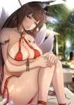  1girl :o amagi_(azur_lane) animal_ear_fluff animal_ears ankle_strap armlet azur_lane bangs bare_shoulders bikini blunt_bangs blush breasts brown_hair cleavage collarbone commentary_request covered_nipples day eyebrows_visible_through_hair fox_ears fox_tail hair_ornament hands_on_own_knees head_tilt highres large_breasts long_hair looking_at_viewer micro_bikini open_mouth origin_(fefnir_nightload) outdoors palm_tree purple_eyes red_bikini shiny shiny_skin sitting solo sunlight swimsuit tail thick_eyebrows tree wet 