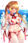  beeyan bikini fate/grand_order saber_extra swimsuits 