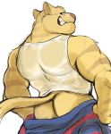  anthro back_muscles bodily_fluids butt chance_furlong clothing domestic_cat felid feline felis grin hanna-barbera hi_res hyenaface jumpsuit male mammal muscular muscular_male shirt smile solo swat_kats sweat tank_top topwear undressing wet wet_clothing wet_shirt wet_topwear 