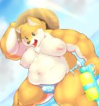  2019 anthro belly blush bulge canid canine canis clothing domestic_dog hat headgear headwear hi_res humanoid_hands male mammal moobs nameko_no_neko navel nipples outside overweight overweight_male solo straw_hat underwear water 