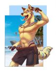  anthro beach canid canine canis clothed clothing domestic_dog fuckie hi_res looking_at_viewer male mammal open_mouth outside seaside solo standing tongue tongue_out topless 