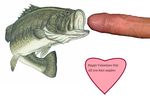  don_piano fish tagme 