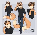  2019 5_fingers anthro black_nose brown_hair canid canine clothing digital_media_(artwork) fingers footwear fox fur grey_background hair lukiri male mammal open_mouth orange_fur shoes simple_background smile solo teeth tongue 