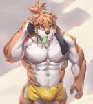  2019 abs anthro biceps bodily_fluids canid canine cartuja clothing epic7 eyebrows eyewear fur goggles hair kemono male mammal muscular muscular_male nipples pecs solo swimwear taki_kaze 