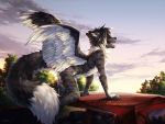  2019 5_fingers anthro black_fur black_hair black_nose canid canine day detailed_background digital_media_(artwork) eyes_closed feathered_wings feathers fingers fox fur hair hybrid lukiri male mammal open_mouth outside sky solo teeth tongue white_feathers wings 