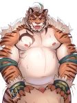  absurd_res anal anal_penetration anthro bodily_fluids duo erection felid from_behind_(disambiguation) fur hi_res hombretigre human male mammal muscular muscular_male navel nipples pantherine pecs penetration penis raytig12 sex striped_fur stripes sweat tiger tokyo_afterschool_summoners video_games 