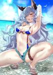  1girl animal_ears aqua_shorts arms_behind_head bangs beach bird blue_hair blue_sky blue_swimsuit blush breasts cloud day earrings erune eyebrows_visible_through_hair ferry_(granblue_fantasy) frown granblue_fantasy groin hoop_earrings jewelry long_hair looking_at_viewer messy_hair navel ocean open_fly open_mouth outdoors revealing_clothes rioakagi short_shorts shorts sidelocks signature single_earring sky small_breasts solo squatting stomach sunlight swimsuit thighs wading wavy_hair wet yellow_eyes 
