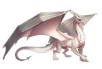  2019 3_toes brown_eyes claws dragon eyelashes female feral grey_scales hi_res horn membrane_(anatomy) membranous_wings scales scalie simple_background solo spines taurus_(artist) toes western_dragon white_background wings 
