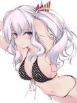  1girl arms_behind_head bikini black_bikini blue_eyes blush breasts cleavage closed_mouth commentary_request cowboy_shot eyebrows_visible_through_hair front-tie_top kantai_collection kashima_(kantai_collection) large_breasts long_hair looking_at_viewer looking_to_the_side polka_dot polka_dot_bikini side-tie_bikini sidelocks silver_hair simple_background smile solo swimsuit tsurime twintails wavy_hair white_background yumesato_makura 
