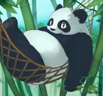 2012 anthro bamboo black_fur doon fur giant_panda lying male mammal outside overweight overweight_male solo ursid white_fur 