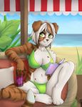  anthro beverage bikini book breasts canid canine clothed clothing drinking_glass female mammal outside puivei sitting smile solo swimwear 