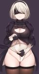  cleavage dress erect_nipples leotard mapar nier_automata nopan skirt_lift thighhighs yorha_no.2_type_b 