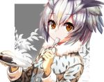  1girl brown_hair character_request commentary_request eyebrows_visible_through_hair face fur_collar grey_hair hair_between_eyes highres holding holding_plate kemono_friends looking_at_viewer plate rice short_hair shuutou_haruka signature solo spoon_in_mouth 