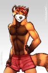  ailurid boxers_(clothing) clothing grin hi_res ichibo male mammal red_panda smile solo standing tsaiwolf underwear 