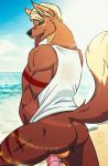  2019 absurd_res anthro arszul athletic backsack balls barazoku beach biceps biped black_sclera blonde_hair blue_eyes bottomless brown_fur butt canid canine canis circumcised clothed clothing countershading elafi erection fur hair hi_res humanoid_penis inner_ear_fluff looking_at_viewer looking_back male mammal markings muscular muscular_male penis pinup pose public raised_tail rear_view seaside signature solo tan_fur teeth tongue tongue_out urethra wolf 