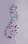  censored felid harness hi_res ki mammal pantherine restrained stripes tiger 