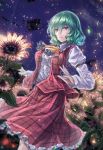  1girl ascot bangs breasts center_frills cloud commentary_request confetti dutch_angle eyebrows_visible_through_hair feet_out_of_frame field flower flower_field frilled_ascot frilled_shirt_collar frills green_hair hair_between_eyes juliet_sleeves kazami_yuuka large_breasts long_sleeves looking_at_viewer night night_sky petticoat plaid plaid_skirt plaid_vest puffy_sleeves red_eyes red_skirt red_vest shirt short_hair skirt skirt_set sky smile solo standing sunflower touhou vest white_shirt y2 yellow_neckwear 
