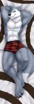  absurd_res anthro bulge canid canine canis clothing dakimakura_design hands_behind_head hi_res looking_at_viewer lying male mammal muscular muscular_male on_back seibear smile solo underwear wolf 