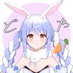  1girl absurdres animal_ear_fluff animal_ears armband bangs blue_hair blush braid breasts bunny_ears bunny_girl carrot carrot_hair_ornament cleavage closed_mouth eyebrows eyebrows_visible_through_hair food_themed_hair_ornament hair_ornament highres hololive long_braid long_hair looking_at_viewer multicolored_hair red_eyes scarf simple_background small_breasts solo syhan twin_braids two-tone_hair usada_pekora virtual_youtuber white_hair 