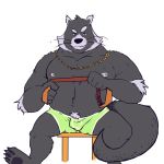 1:1 2019 anthro belly binturong black_nose blue_eyes bulge clothing hi_res male mammal moobs nipples overweight overweight_male riversausage simple_background sitting solo underwear viverrid 