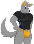  2019 alpha_channel anthro bulge canid canine canis clothed clothing digital_media_(artwork) english_text fur hair male mammal muscular muscular_male notkastar signature simple_background solo swimwear text thong underwear wolf zatch_(character) 