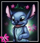  2013 alien black_border black_eyes blue_fur blue_nose border disney experiment_(lilo_and_stitch) flower fur hawaiian_text lilo_and_stitch looking_at_viewer notched_ear open_mouth open_smile plant signature simple_background sleepyredwolf smile solo stitch_(lilo_and_stitch) text 