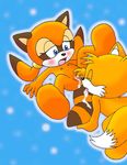  marine_the_raccoon shadowlink350 sonic_team tagme tails 