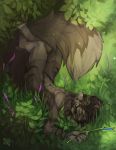  anthro big_tail blue_eyes canid canine claws featureless_crotch fluffy fluffy_tail fox fur grass grey_fur hair hi_res legs_up lying male mammal nude on_back outside smile solo striped_fur stripes whiskers zephra 