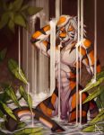  abs anthro athletic balls countershade_torso countershading eyes_closed felid fur hair hi_res male mammal nude orange_fur pantherine penis plant solo standing striped_fur stripes tiger water waterfall white_hair zephra 