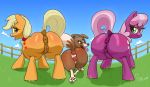  absurd_res animal_genitalia animal_pussy anus applejack_(mlp) big_butt butt canid canine cheerilee_(mlp) equid equine equine_pussy female friendship_is_magic hi_res mammal my_little_pony parumpi presenting puffy_anus pussy raised_tail thick_thighs tongue winona_(mlp) 