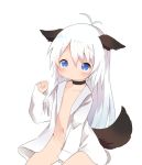  1girl animal_ears between_legs black_choker blue_eyes choker dog_ears dog_tail expressionless flat_chest hand_between_legs konachiu long_hair long_sleeves naked_shirt navel no_panties open_clothes open_shirt original rei-chan_(konachiu) shirt silver_hair sitting sleeves_past_wrists tail white_shirt 