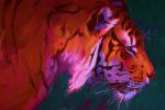  2019 ambiguous_gender black_stripes digital_media_(artwork) felid feral fur mammal orange_fur pantherine solo striped_fur stripes tamberella tiger whiskers 