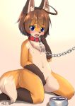  anthro blush bodily_fluids bowl canid canine chain collar cute_fangs food_bowl hi_res mammal navel nipples solo tears unknown_artist young 
