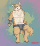  2016 4_toes 5_fingers abstract_background anthro arm_support barefoot biceps biped black_claws black_nose black_sclera blue_eyes blush bodily_fluids bottomwear boxers_(clothing) brown_clothing bulge canid canine canis cheek_tuft chest_tuft claws clothed clothing countershade_face countershade_torso countershading detailed digital_media_(artwork) digitigrade embarrassed feet fingerless_gloves fingers fluffy fluffy_tail front_view full-length_portrait fur fur_tuft gloves grey_bottomwear grey_clothing half-closed_eyes handwear heterochromia hi_res huka humanoid_hands inner_ear_fluff looking_at_viewer male mammal manly multicolored_fur muscular muscular_male neck_tuft paws pecs portrait reclining shaded sharp_teeth snout solo stocky sweat sweatdrop teeth toe_claws toes topless tuft two_tone_fur underwear watermark white_countershading white_fur wolf yellow_eyes yellow_fur yellow_tail 