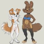  2019 annoyed anthro black_eyes bottomless breasts brown_eyes brown_fur brown_hair canid canine canis cleavage clothed clothing collar crossed_arms domestic_dog duo female fur hair hi_res joajoa mammal nude pussy reign-2004 sam_(reign-2004) simple_background tan_background tan_fur toeless_stockings unknown_species whiskers white_fur 