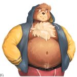  1:1 2019 anthro belly brown_fur clothing fur hoodie m7 male mammal moobs navel overweight overweight_male simple_background solo topwear underwear ursid white_background 