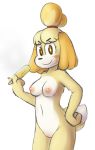  absurd_res alpha_channel animal_crossing anthro blush breasts canid canine canis domestic_dog female food fur hair hi_res isabelle_(animal_crossing) looking_at_viewer mammal maypul_syrup navel nintendo nipples nude popsicle pussy shih_tzu simple_background smile solo toy_dog transparent_background video_games yellow_fur 