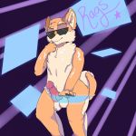  1:1 animal_genitalia anthro balls canid canine canis domestic_dog erection eyewear hi_res knot lewdcuzzi male mammal penis rags_(youtuber) shiba_inu solo spitz sunglasses 