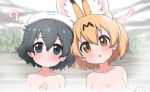  ! 2girls :o ? animal_ear_fluff animal_ears bangs black_eyes black_hair blonde_hair blurry blurry_background blush breasts brown_eyes collarbone commentary extra_ears eyebrows_visible_through_hair hair_between_eyes hand_on_own_chest japari_symbol kaban_(kemono_friends) kemono_friends looking_at_viewer medium_breasts multiple_girls nude onsen open_mouth parted_lips partially_submerged ransusan serval_(kemono_friends) serval_ears towel towel_on_head upper_body water 