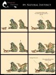  ! acaedus canid canine canis comic dawn_(character) dragon female feral hi_res humor laser laser_pointer male mammal rimentus scalie size_difference walnut_(character) western_dragon wolf 