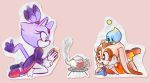  2017 ambiguous_gender anthro blaze_the_cat carrying chao cheese_the_chao clothing cream_the_rabbit cub dipstick_tail domestic_cat felid feline felis female footwear gloves group handwear hi_res lagomorph leporid long_ears mammal multicolored_tail on_head rabbit sonic_(series) sp-rings video_games young 
