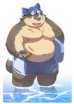  2019 anthro ayame42612 belly canid canine canis clothing domestic_dog male mammal moobs moritaka navel nipples overweight overweight_male simple_background solo swimwear tokyo_afterschool_summoners video_games water 