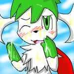  pokemon shaymin shaymin_sky_forme tagme 