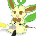  leafeon pikachu pokemon tagme 