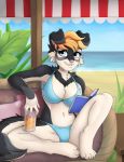  anthro beverage bikini book breasts canid canine canis clothed clothing domestic_dog female fur hair mammal outside puivei sitting smile solo swimwear underwear 