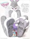  2019 3_toes absurd_res anthro arthropod being_watched buckteeth bugs-bunny bugs-bunny_(artist) bugs_bunny bulge buster_bunny clothing english_text feet foot_fetish fur grey_fur hi_res insect lagomorph leporid looking_at_another looking_at_viewer looney_tunes male mammal micro mouse murid murine open_mouth pawpads pink_nose rabbit rodent simple_background solo teasing teeth text tiny_toon_adventures toes underwear warner_brothers 
