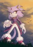  anthro blaze_the_cat clothing cloud felid feline female footwear gloves grass handwear hi_res knockabiller mammal solo sonic_(series) video_games yellow_eyes 