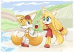  &lt;3 anthro blush canid canine clothing cloud dipstick_tail duo female flower fox fur gloves hair handwear howxu long_hair male male/female mammal miles_prower multicolored_tail open_mouth open_smile plant signature smile sonic_(series) video_games water white_fur yellow_fur zooey_the_fox 
